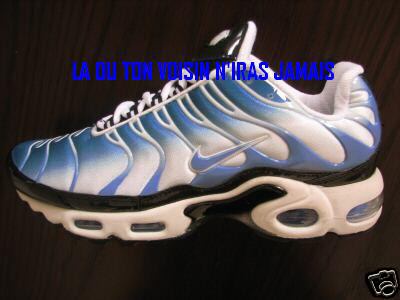 requin